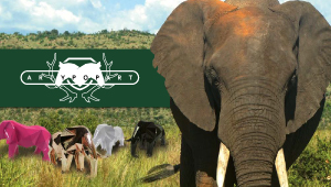 Artypopart présente ses éléphants solidaires !