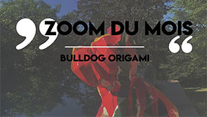 Zoom du mois - Bulldog origami