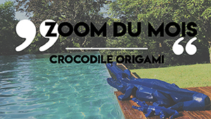 Zoom du mois - Crocodile origami