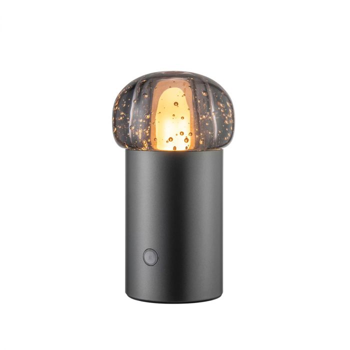 Iris - Lampe portable LED