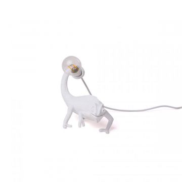 Chameleon lamp-still 